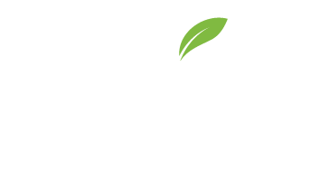 Homepage